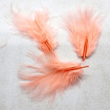 Pluma artistica / arito surtida x paq