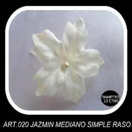 Jazmin mediano raso x gsa