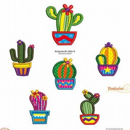 Aplicacion bord. cactus en maceta x 6 un
