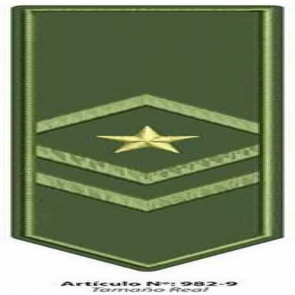 Aplic. bord. charretera verde x 4