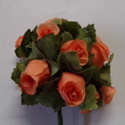 Flor pimpollo( 2003) x gsa