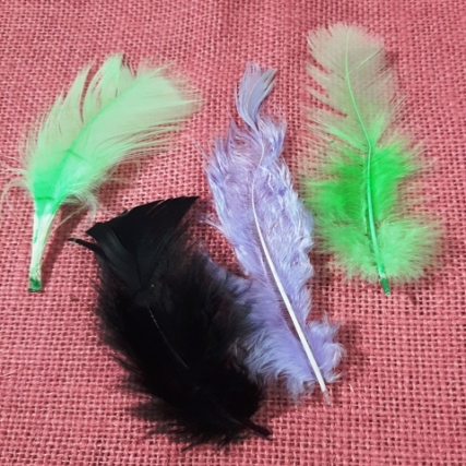 Pluma gallito x 50 unid