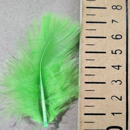 Plumas marabu mediana x 50 unid