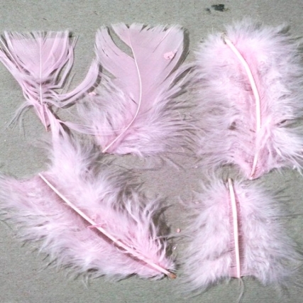 Plumas tamaÑos surtidos x paq