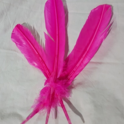 Pluma de pato (28cm) paq. x 10 unid